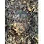 KMCS Pack Cover with 3D Leaves (L) – Next-Gen Green