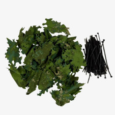 Next-Gen Green