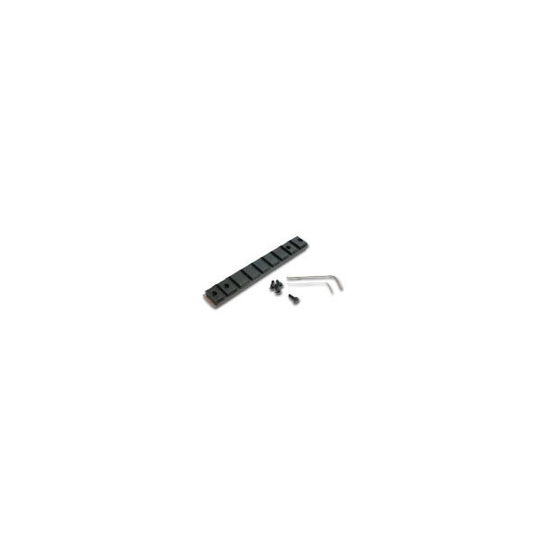 TM RIS Scope Mount for VSR-10