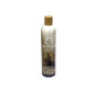 ASG ULTRAIR Green Power Gas (135 PSI) - 570 ml ASG ULTRAIR Green Power Gas (135 PSI) - 570 ml
